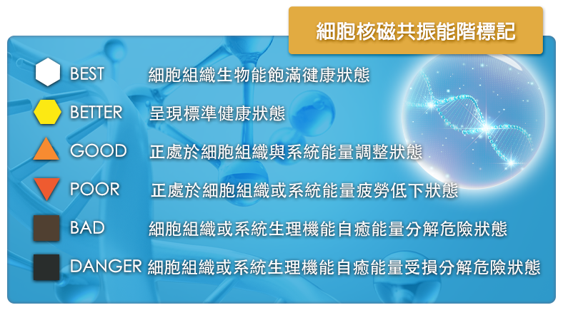 細胞核磁共振能階標記